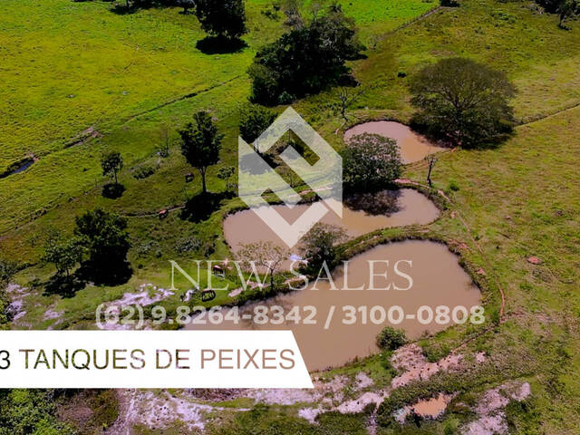 Chácara para Venda em Anicuns - 5