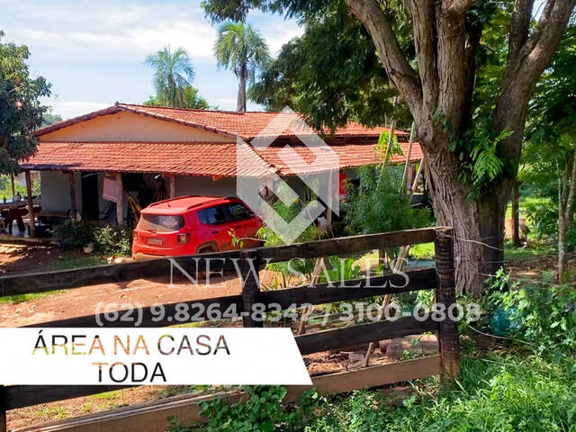#13884 - Chácara para Venda em Anicuns - GO - 3