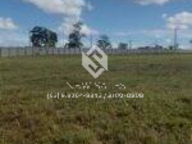 #14187 - Terreno para Venda em Aparecida de Goiânia - GO - 1