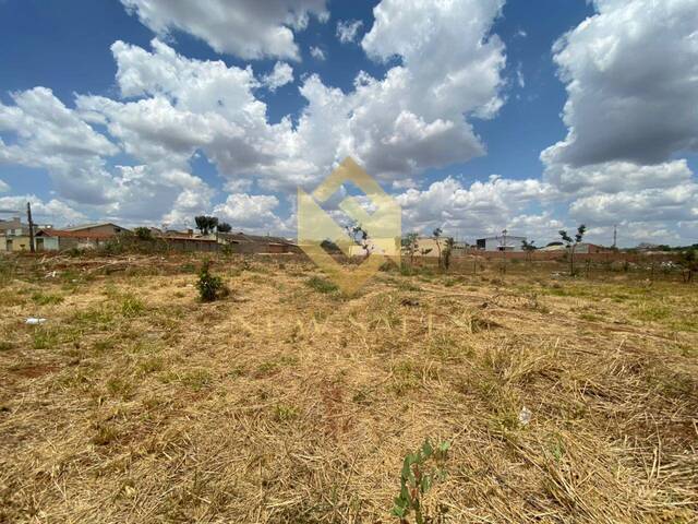 Área para Venda em Trindade - 5