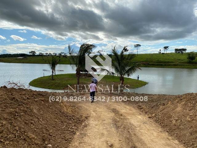 #8662 - Área para Venda em Trindade - GO - 1