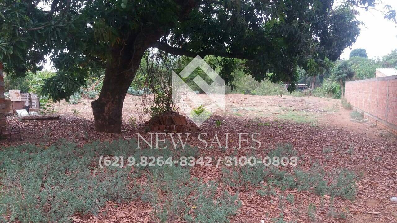 Terreno à venda, 2562m² - Foto 5