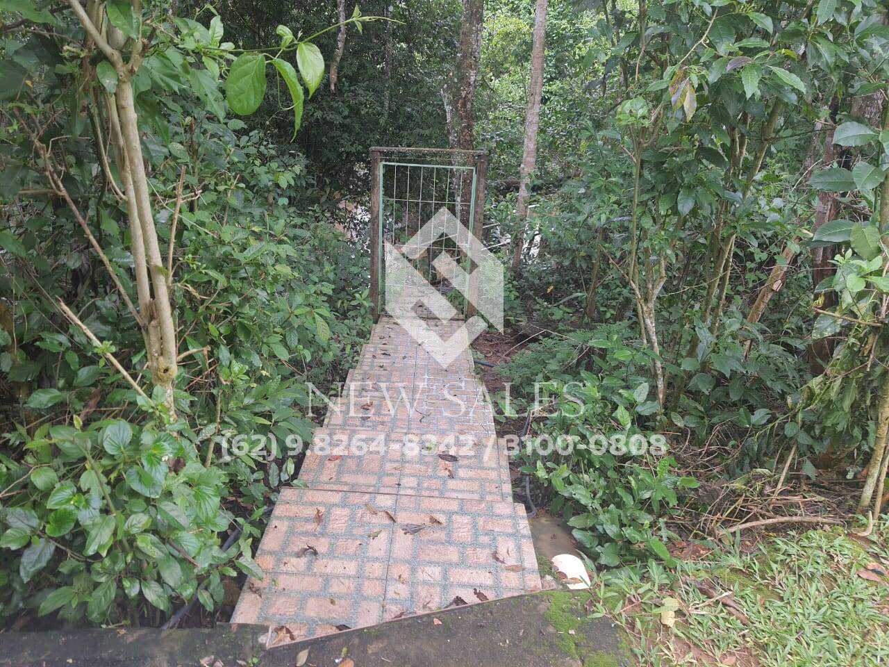 Chácara à venda com 3 quartos, 5700m² - Foto 8