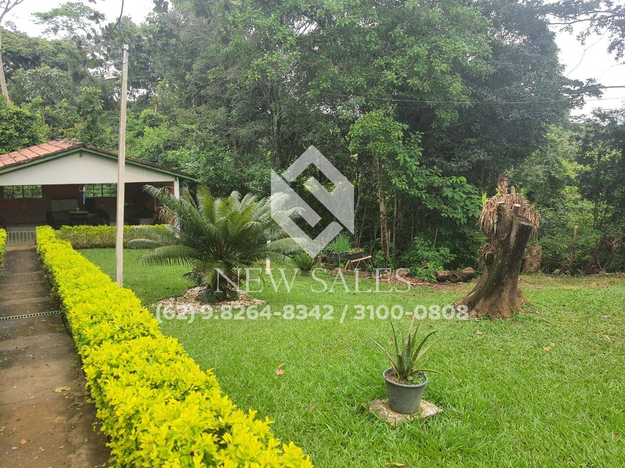 Chácara à venda com 3 quartos, 5700m² - Foto 15